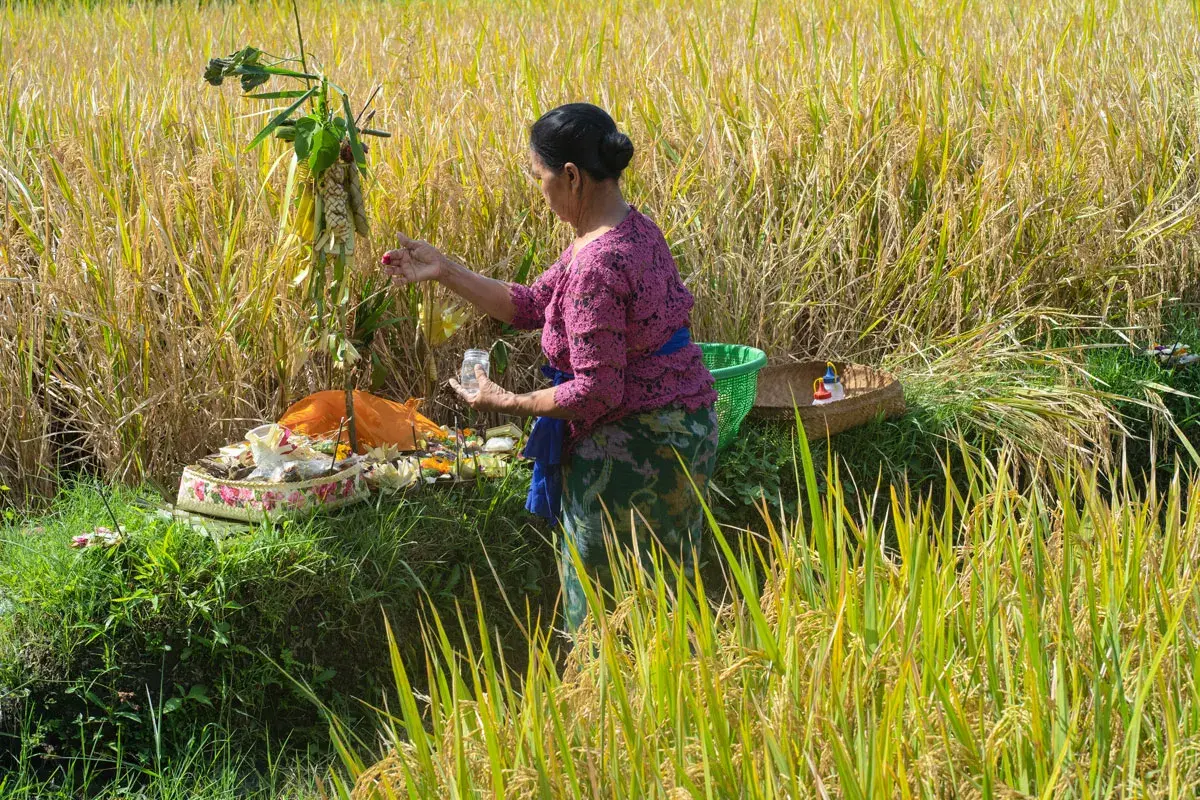 New Year, renewed rituals